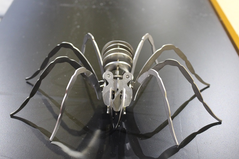 動(dòng)物模型制作